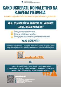 Kako ravnati ob srečanju z medvedom 2